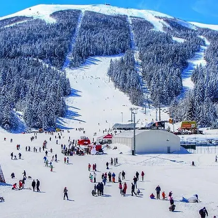 White Wings Apartman