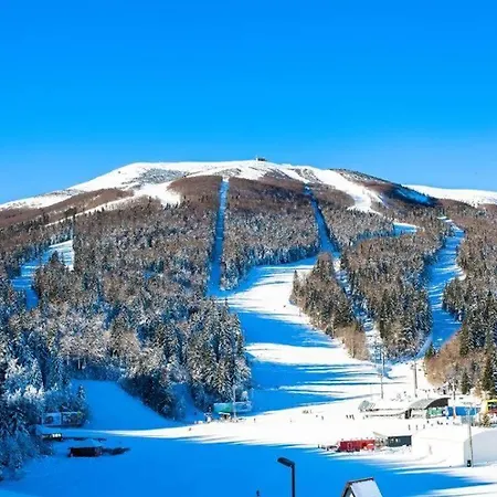 White Wings * Bjelašnica